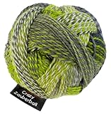 Schoppel Wolle Zauberball Crazy Fb. 2204 Grüne Woche, bunte Sockenwolle musterbildend mit Farbverlauf zum Stricken oder Häkeln